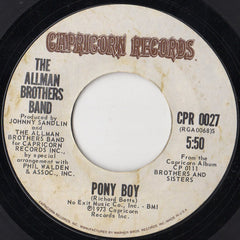 The Allman Brothers Band : Ramblin Man (7", Single, Styrene, Ter)