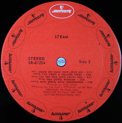 Steam : Steam (LP, Album)