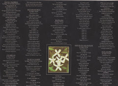 Edgar Winter : Jasmine Nightdreams (LP, Album)