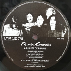 Flamin' Groovies* : I'll Have A ... Bucket Of Brains (The Original 1972 Rockfield Recordings For U.A.) (10", Comp, Ltd)