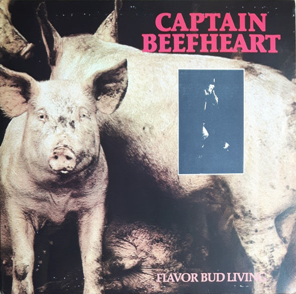 Captain Beefheart : Flavor Bud Living (2xLP, Unofficial)