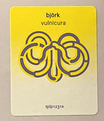 Björk : Vulnicura (2xLP, Album, RE)