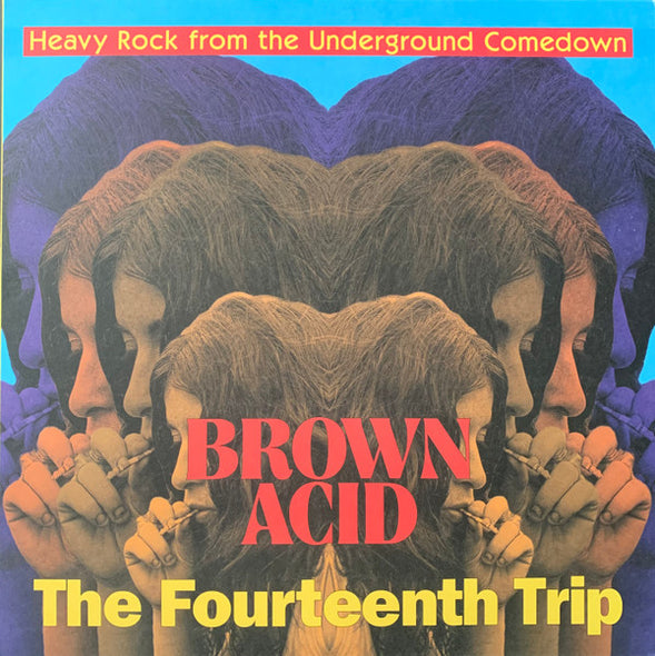 Various : Brown Acid: The Fourteenth Trip (Heavy Rock From The Underground Comedown) (LP, Comp)