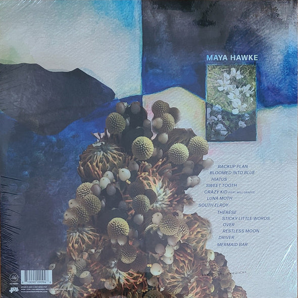 Maya Hawke : Moss (LP, Album, Tra)
