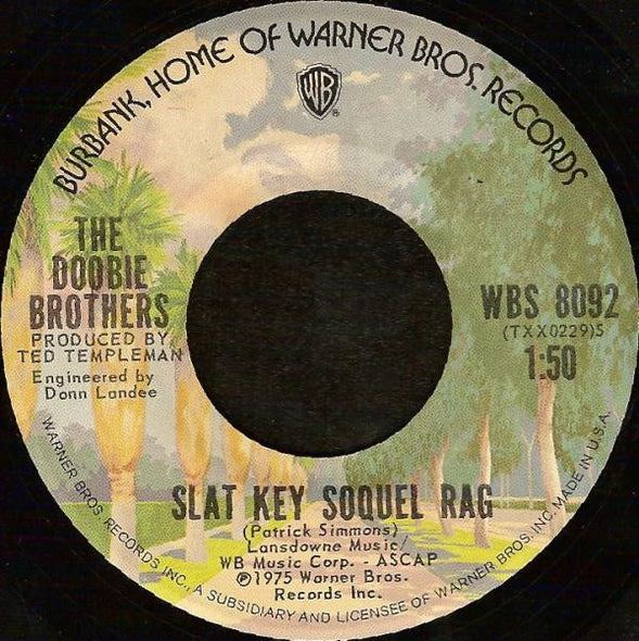 The Doobie Brothers : Take Me In Your Arms (Rock Me) (7", Styrene, Ter)