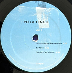 Yo La Tengo : This Stupid World (2xLP, Album)