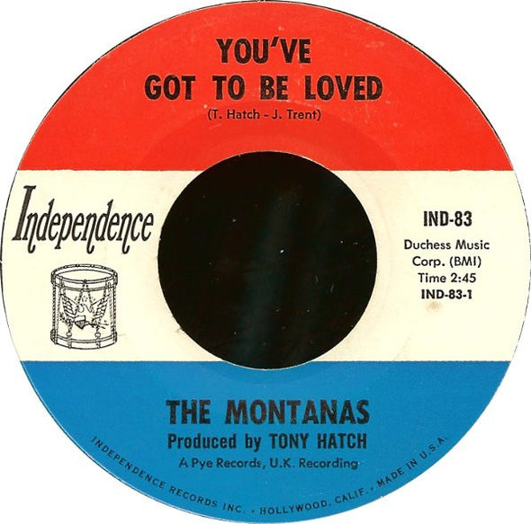 The Montanas* : You've Got To Be Loved (7", Styrene)