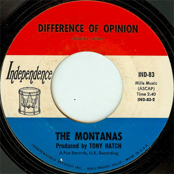 The Montanas* : You've Got To Be Loved (7", Styrene)