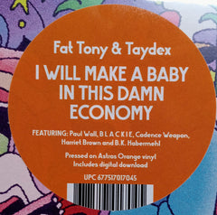 Fat Tony (5) & Taydex : I Will Make A Baby In This Damn Economy (LP, Album)