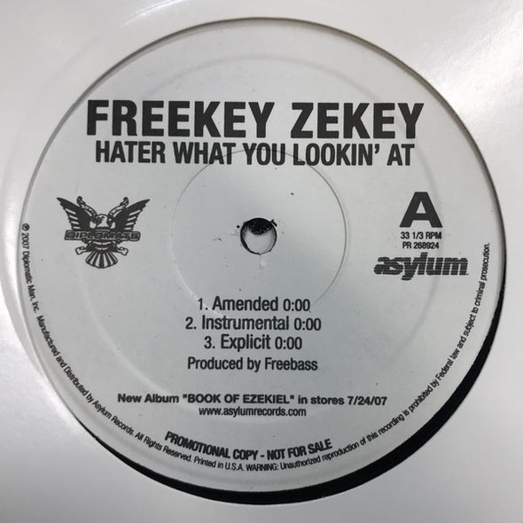 Freekey Zekey : Hater What You Lookin' At (12", Promo)
