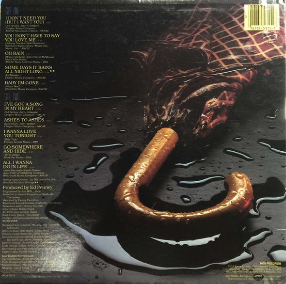 Terri Gibbs : Some Days It Rains All Night Long (LP, Album, Pin)