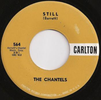 The Chantels with The Sammy Lowe Orchestra : Still / Well, I Told You (7", Single)