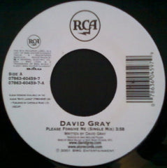 David Gray : Please Forgive Me (7")