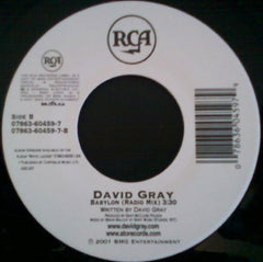 David Gray : Please Forgive Me (7")