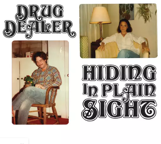 Drugdealer - Hiding In Plain Sight (LP, Album, Win) (M)27