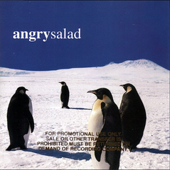 Angry Salad - Angry Salad (CD, Album, Promo) (M)5 - LAST CHANCE!